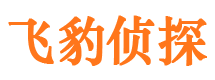 拜城侦探公司